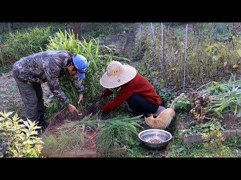 Видео: Корейская горная деревня готовит зимнюю еду~!!