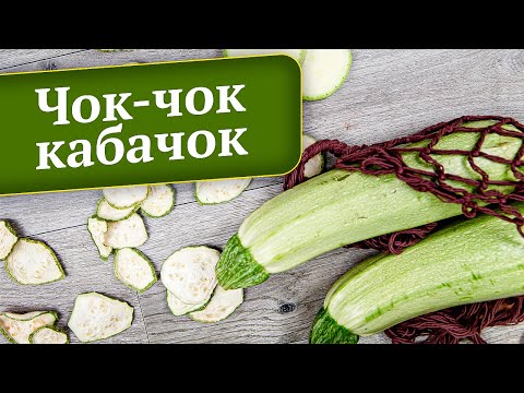Видео: 2 простых и вкусных рецепта из КАБАЧКА для сушилки/дегидратора Ezidri. Заготовки на зиму от ЭкоСнеки