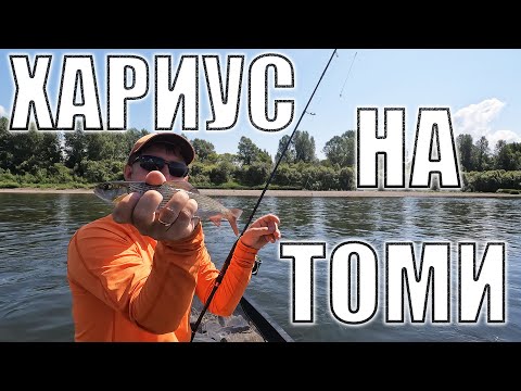 Видео: В ТОМИ ХАРИУС НА КАЖДОМ ПЕРЕКАТЕ! Рыбалка на Тирольку! Тест Мушек.