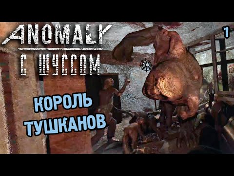Видео: Шусса выбрали королём. Сталкер Челлендж (2.1)