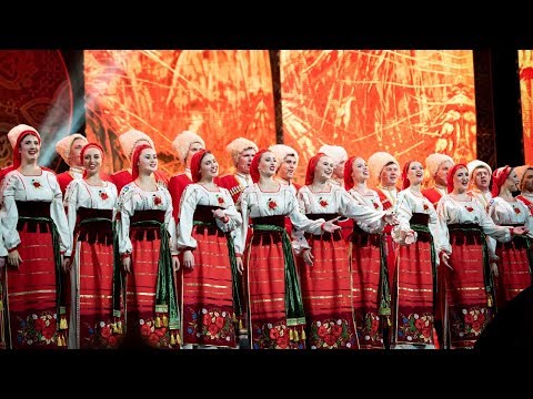 Видео: Мы казаки