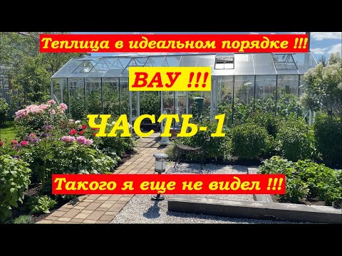 Видео: Теплица с томатами и огурцами в идеальном порядке! Вау!!! Такого я еще не видел !!!