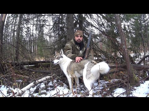 Видео: Первая проверка путика 2023! План выполнен!