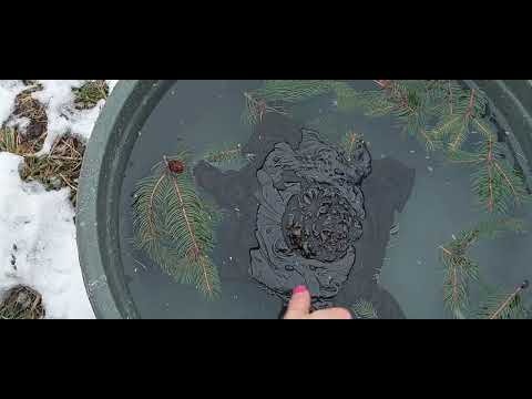 Видео: Чистка в потоке, снимаем порчи сделанные мастерами.