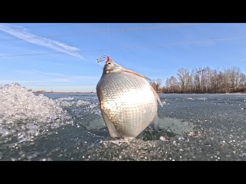 Видео: Зимняя рыбалка! МАРТ +10 Рыба ловится!