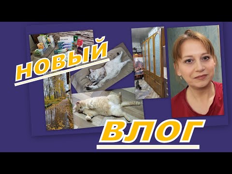 Видео: ВЛОГ:  ПОКУПКИ, ВЫБИРАШКИ, РЕМОНТ И ПУШИСТЫЕ ПОПКИ...