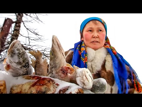 Видео: Душа тундры. Документальный фильм | Полярные истории
