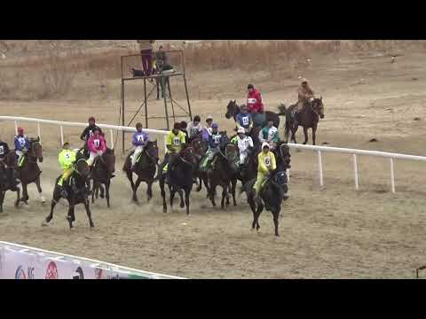 Видео: Жорго салыш 21 03 2021 Чолпон-Ата. Нооруз.