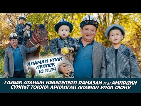Видео: Лейлек | Аламан улак той 10.11.24