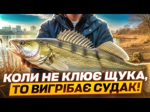 Видео: Риболовля На Дніпрі: Щука Закрила Пащу! Ми Половили Судака!