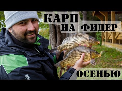 Видео: Ловля карпа на фидер поздней осенью. Прикормка, тактика : Рыболовный дневник