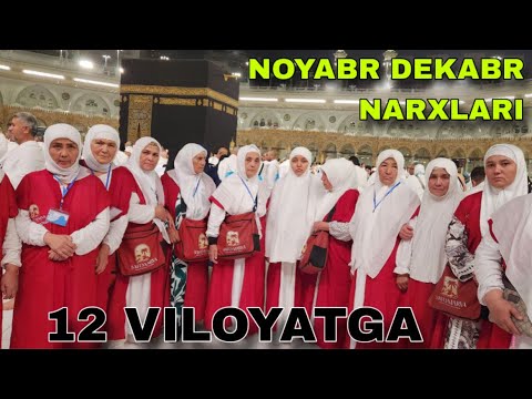 Видео: НОЯБР ОЙИ 14 КУНЛИ УМРА НАРХЛАРИ 2025 УМРА ЗИЁРАТИ НАРХИ 2025 УМРА САФАРИ 2025 UMRA AMALI UMRA NARXL
