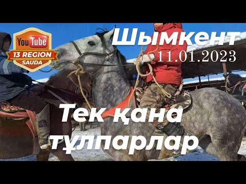 Видео: Шымкент мал базары. Бұл түсірілімде тек қана тұлпарлар. Биелер мен тайлар, сиырлар мен қойлар бөлек.