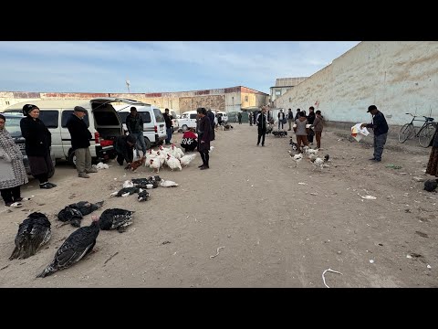 Видео: ХОРАЗМ ХАЗАРАСП ПАРРАНДА БОЗОРИ ЯНГИ НАРХЛАРИ21-октябрь 2025￼