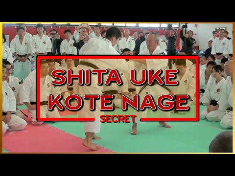 Видео: Секретные техники Шита Уке Котэ Наге Сёриндзи Кэмпо (дзюхо). Демонстрации сенсея Араи. Боевые иск...