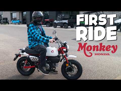 Видео: Обзор Honda Monkey 2025 Ride | Реальные тест-драйвы и впечатления