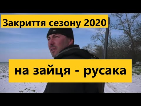 Видео: Закриття сезону на зайця - русака 2020 | Частина 2