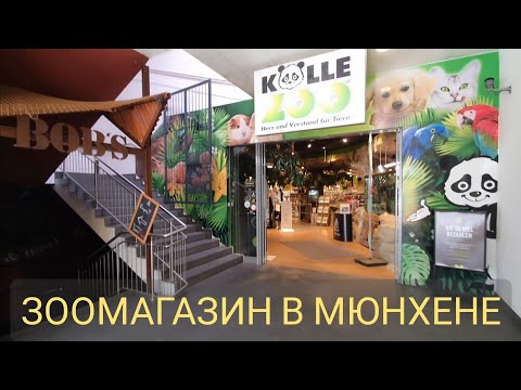 Видео: Зоомагазин в Мюнхене.