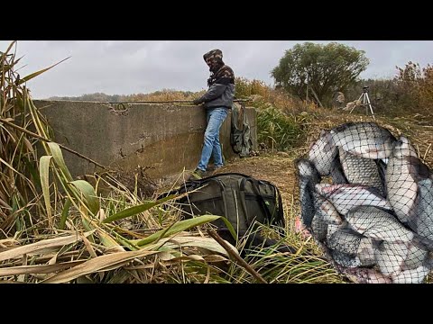 Видео: Ранкова РОЗДАЧА КАРАСЯ, Ловля карася на боковий кивок, Рибалка на карася