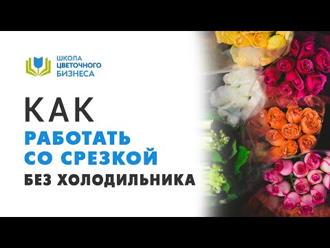 Видео: Как работать без холодильника со срезанными цветами | Цветочный бизнес | Работа цветочного магазина