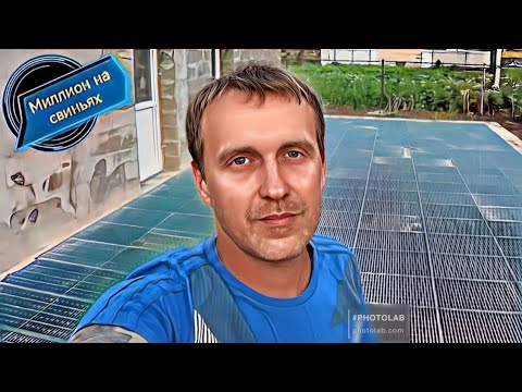 Видео: ‼️Строим идеальный сарай (свинарник)‼️На щелевых полах‼️Часть 2