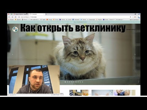 Видео: Как открыть ветеринарную клинику. Советы от владельца сети ветеринарных клиник «Био-Вет»