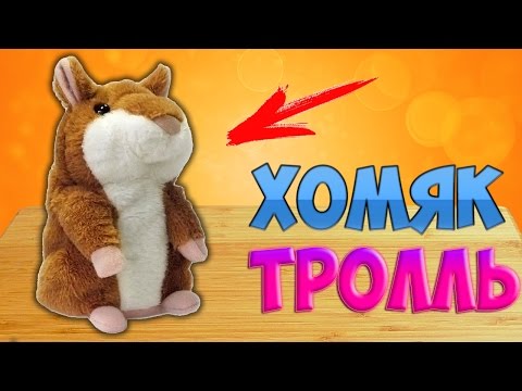 Видео: ГОВОРЯЩИЙ ХОМЯК | ЗАТРОЛЛИТ КОГО УГОДНО