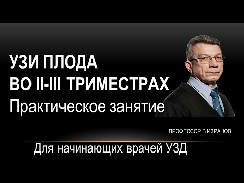 Видео: УЗИ плода.  2-3 триместр