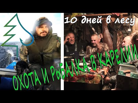 Видео: Жизнь в тайге, гармонь, гитара, лесной быт, охота и рыбалка в Карелии. По волнам Топозера. Штормит!
