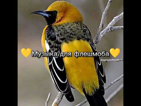 Видео: 💛Музыка для флешмоба💛