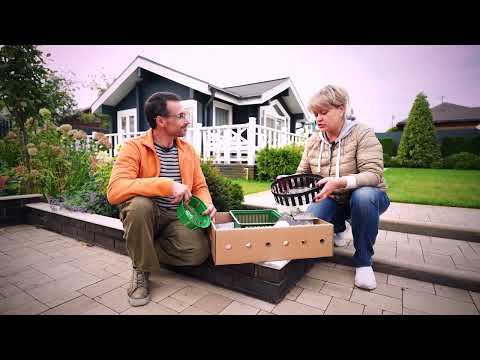 Видео: Луковичные растения | Все в Сад