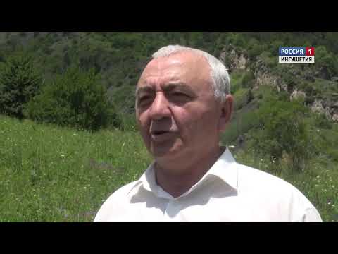 Видео: Леймой /Лейми/17/07/2019/