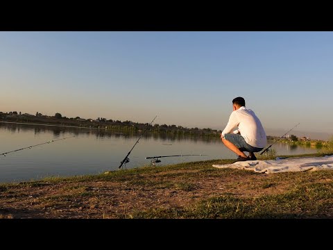 Видео: Хе из свежего сазана /  Голодный Ким