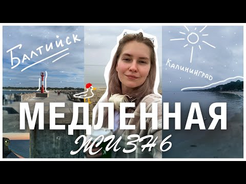 Видео: ОБЗОР на МЕДЛЕННУЮ жизнь в КАЛИНИНГРАДЕ | slow kaliningrad vlog