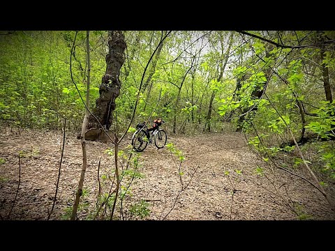 Видео: АСМРное веловидео с шорохами и хрустами (и с зайцем)
