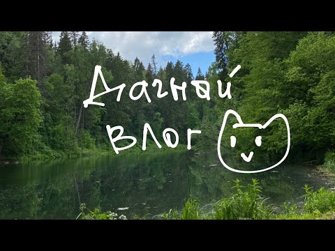 Видео: первый раз с кошкой на даче🍓