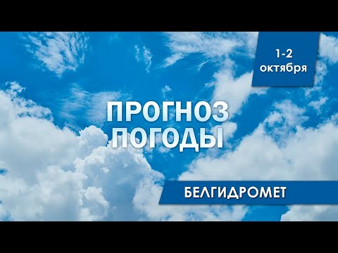 Видео: Прогноз погоды в Беларуси на 1-2 октября 2024 года