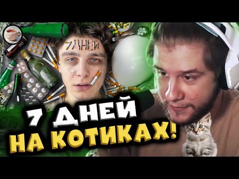 Видео: Шайнов - Я 7 ДНЕЙ ПРИНИМАЛ ЛЕГАЛЬНЫЕ НА₽КОТИКИ | Реакция Лагоды