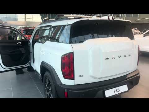 Видео: Отличия-Jolion и Н3 #automobile #haval #пермь #top #рек #обзор #врек #havalh3 #авто #блогер #киров