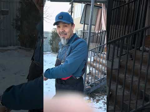 Видео: Коррекция поведения собаки.