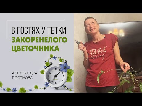 Видео: Я и моя тетя. Когда набиваешься в гости силой, тебя кормят, развлекают, а в качестве платы...