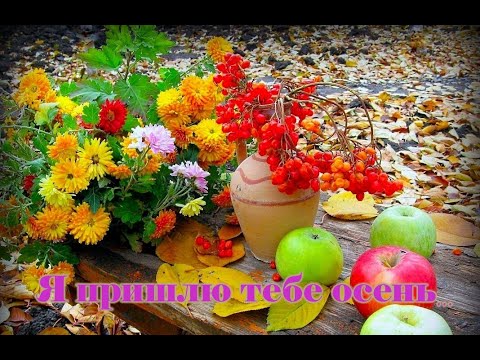 Видео: Я ПРИШЛЮ ТЕБЕ ОСЕНЬ... МОИ ПЕЛАРГОНИИ.ОСЕНЬ НА ДАЧЕ.