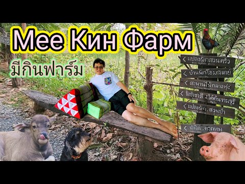 Видео: Мее Кин Фарм มีกินฟาร์ม Mee Kin Farm Город Кхонкэн, Таиланд