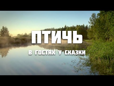 Видео: Птичь от истока до устья (ч. 7)