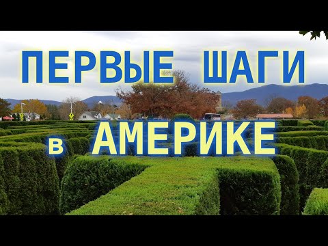 Видео: #196: Трудности переезда по Грин Карте в США. Первые шаги в Америке