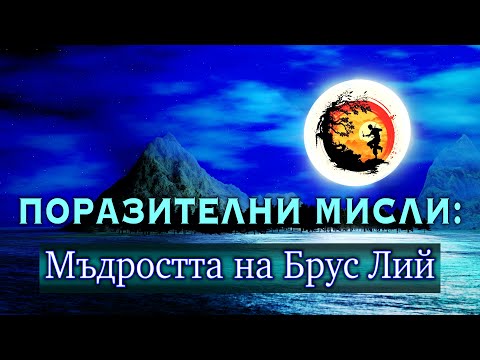 Видео: ИН-ЯН - БРУС ЛИЙ