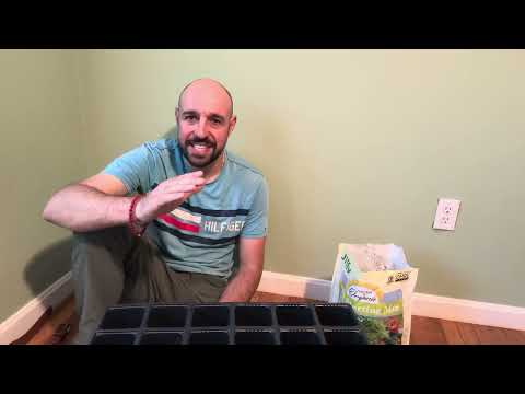 Видео: Как да отгледаме перфектен разсад от домати и краставици ! На открито и на лампа