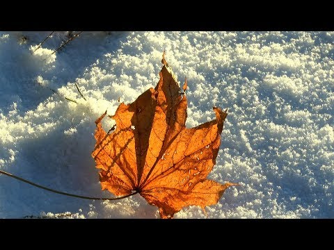 Видео: Что происходит