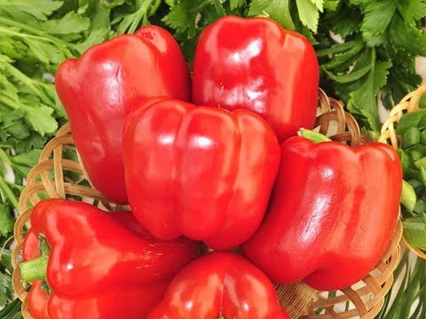 Видео: СУПЕР ПЕРЦЫ ГИГАНТЫ