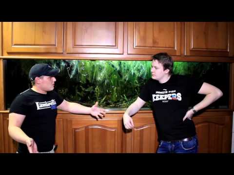 Видео: Аквариумный туризм №16 (Амазонский биотопный аквариум на 1500литров)